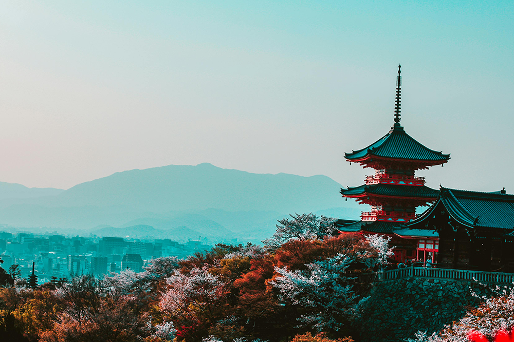 日本の魅力を探る旅
